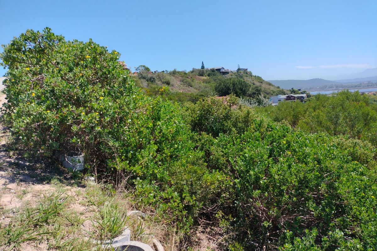 A view of the natural landscape and surrounding hillside, showcasing the vacant residential land's topography and vegetation.