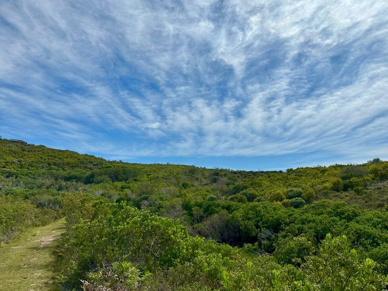 Vacant land for sale in Pezula Private Estate - Photo 10