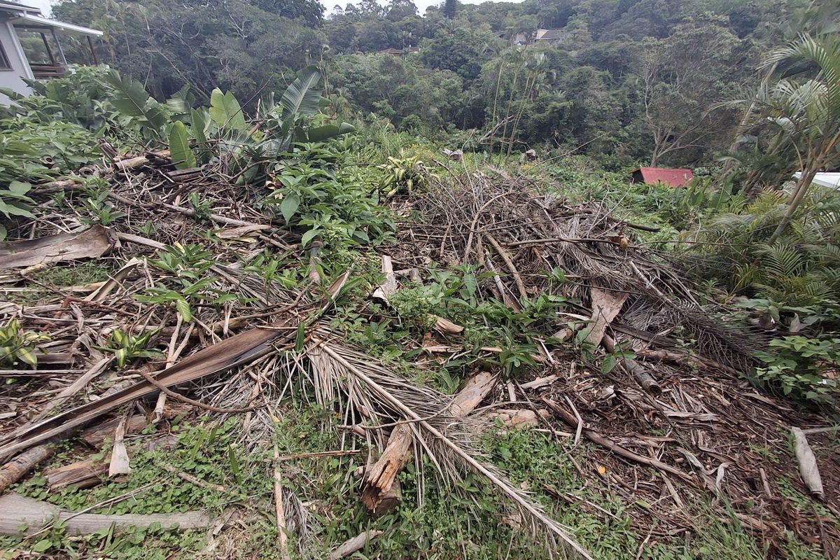 Build Your Ideal Holiday Home - Photo 2