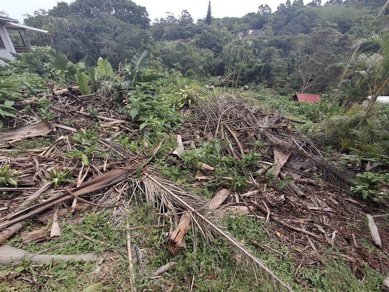 Build Your Ideal Holiday Home - Photo 2