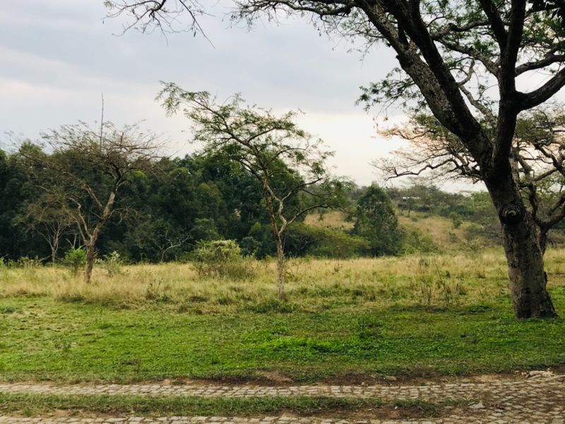 26Ha For Sale with 4 Income Earning Rentals Borehole Water - Photo 6
