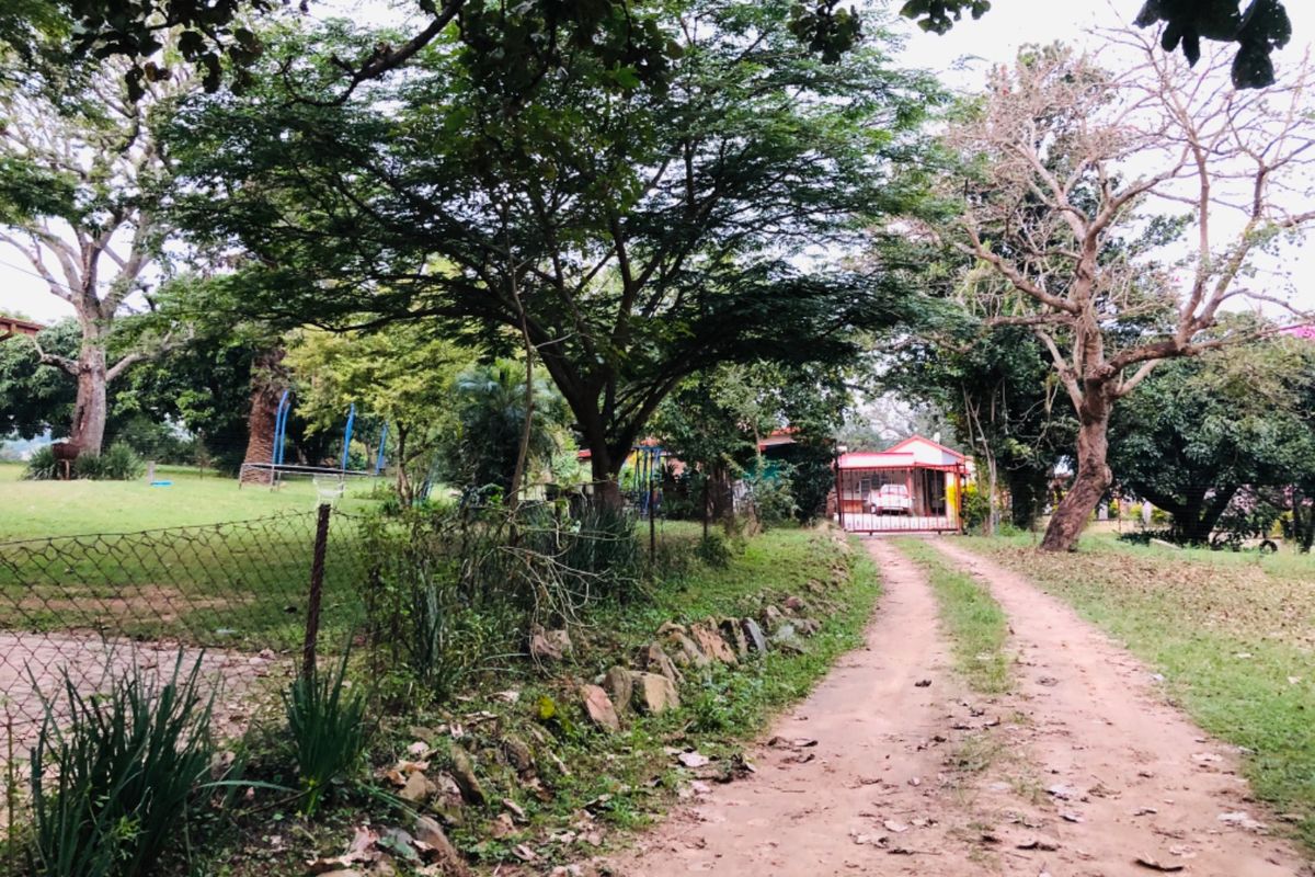 26Ha For Sale with 4 Income Earning Rentals Borehole Water - Photo 4