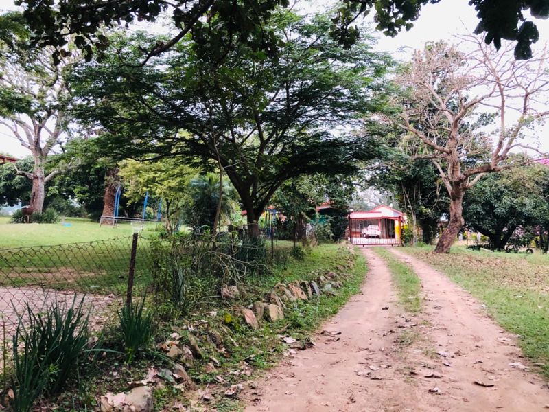 26Ha For Sale with 4 Income Earning Rentals Borehole Water - Photo 4