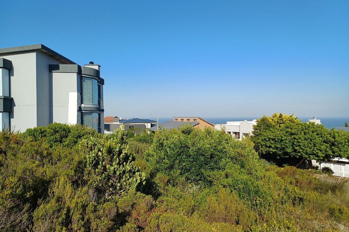 A scenic view overlooking the residential landscape and coastal horizon, featuring established native vegetation and surrounding neighborhood architecture.