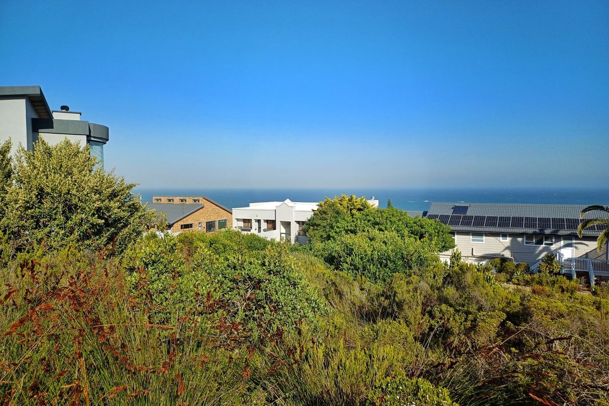 A scenic elevated view overlooking the surrounding residential neighborhood with a clear horizon line and expansive ocean vista.