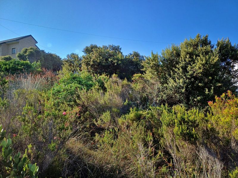 Elevated 600 sqm Stand with Spectacular Sea Views in Reebok - Photo 8