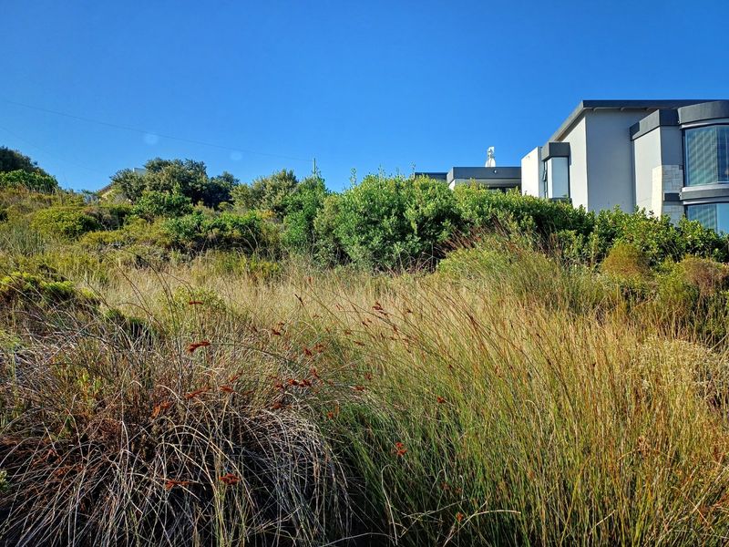 Elevated 600 sqm Stand with Spectacular Sea Views in Reebok - Photo 9