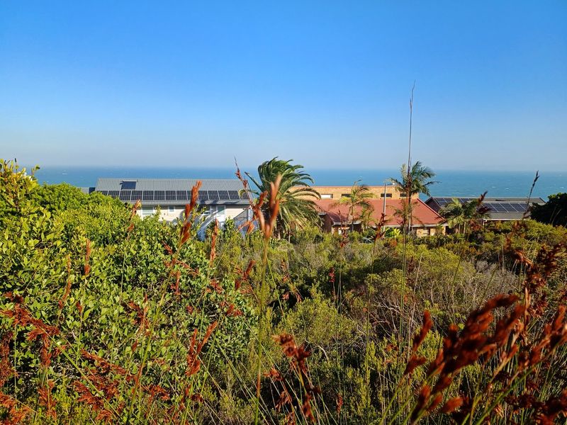 Elevated 600 sqm Stand with Spectacular Sea Views in Reebok - Photo 5