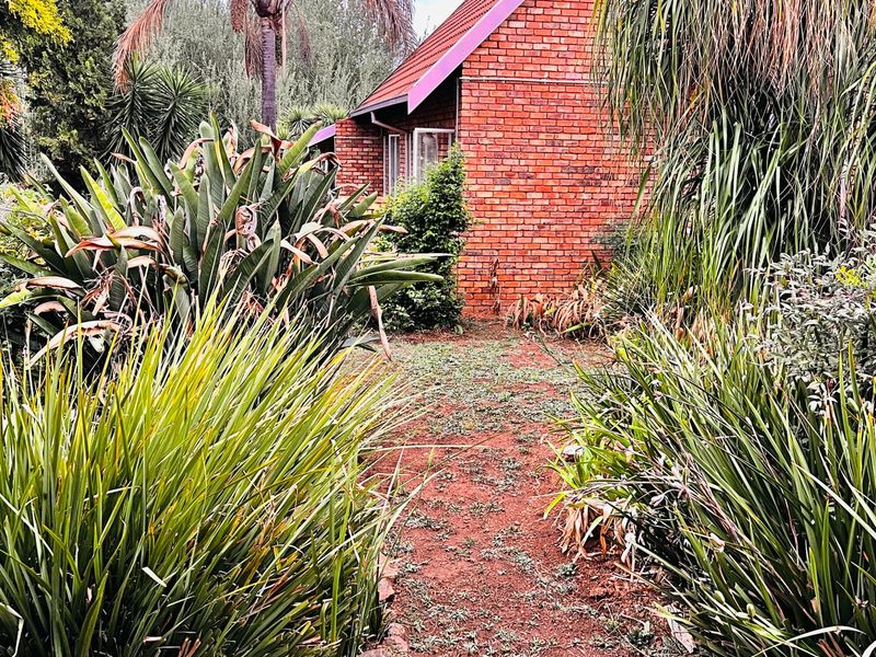 A 3 Bed 1 Bath upper fixer  with a large garden and so much potential! - Photo 9