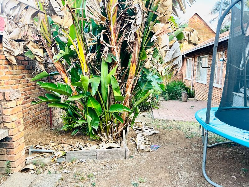 A 3 Bed 1 Bath upper fixer  with a large garden and so much potential! - Photo 5