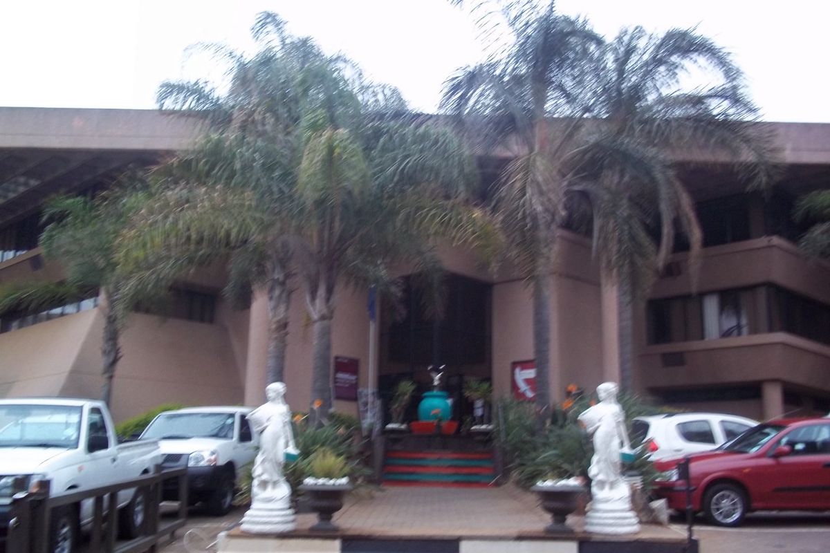 Front elevation of a commercial building featuring a paved entrance area, established palm trees, and a multi-story facade.