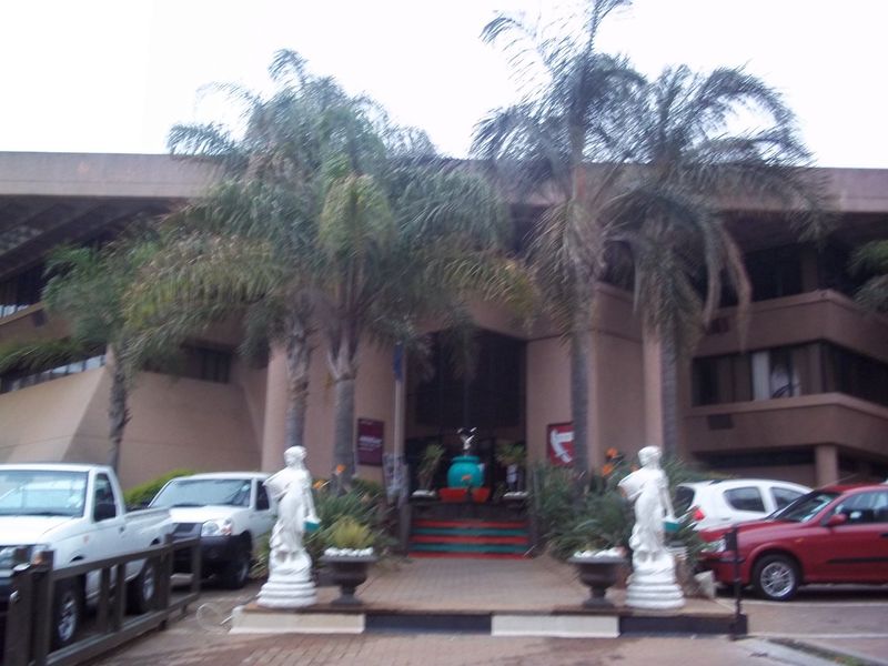 Front elevation of a commercial building featuring a paved entrance area, established palm trees, and a multi-story facade.
