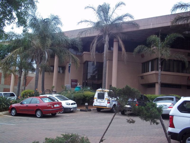 Front elevation of a commercial building featuring a paved parking area, established palm trees, and a prominent glass entrance facade.