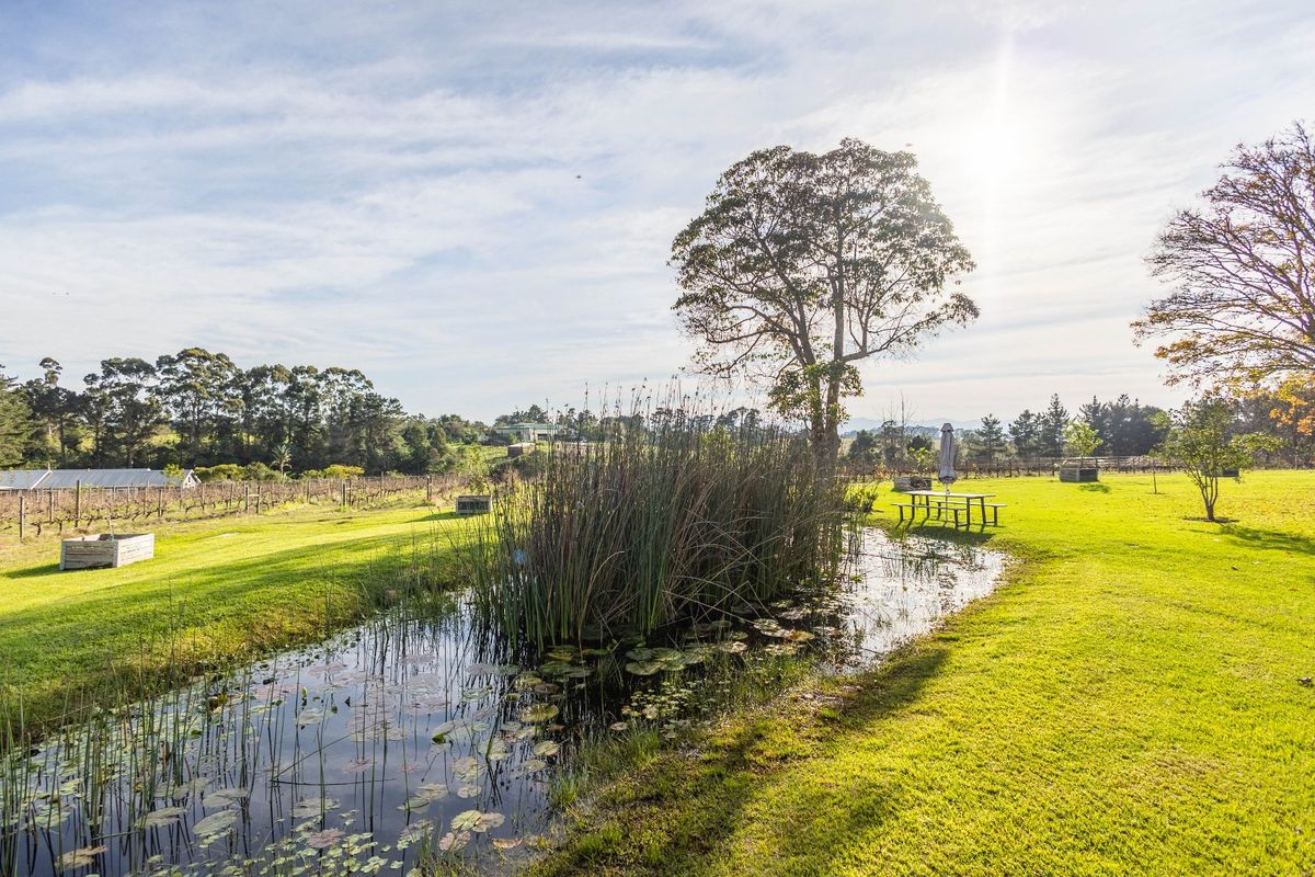 A Scenic Versatile Property in a Great Location - Photo 5