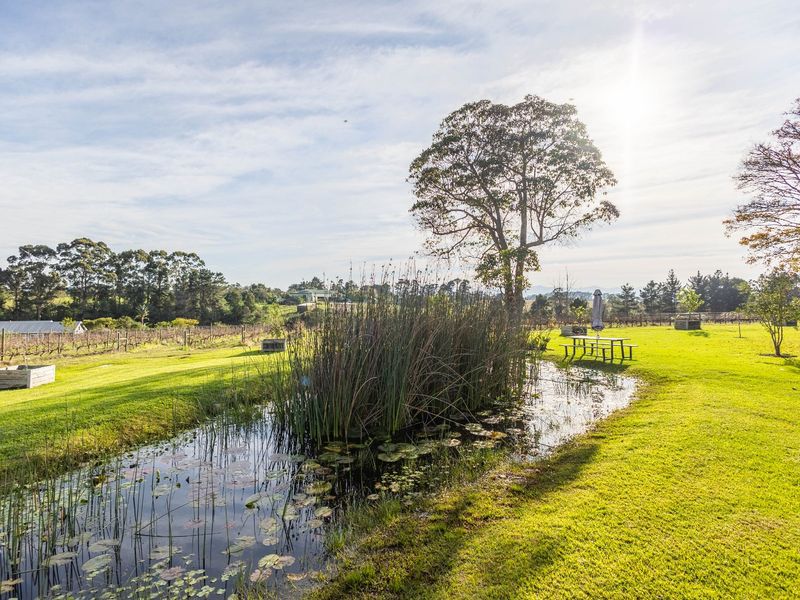 A Scenic Versatile Property in a Great Location - Photo 5