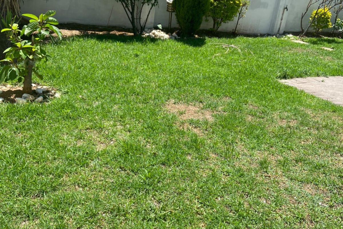 Beautiful townhouse in Arundo Estate - Photo 2