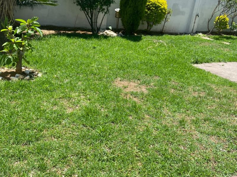 Beautiful townhouse in Arundo Estate - Photo 2