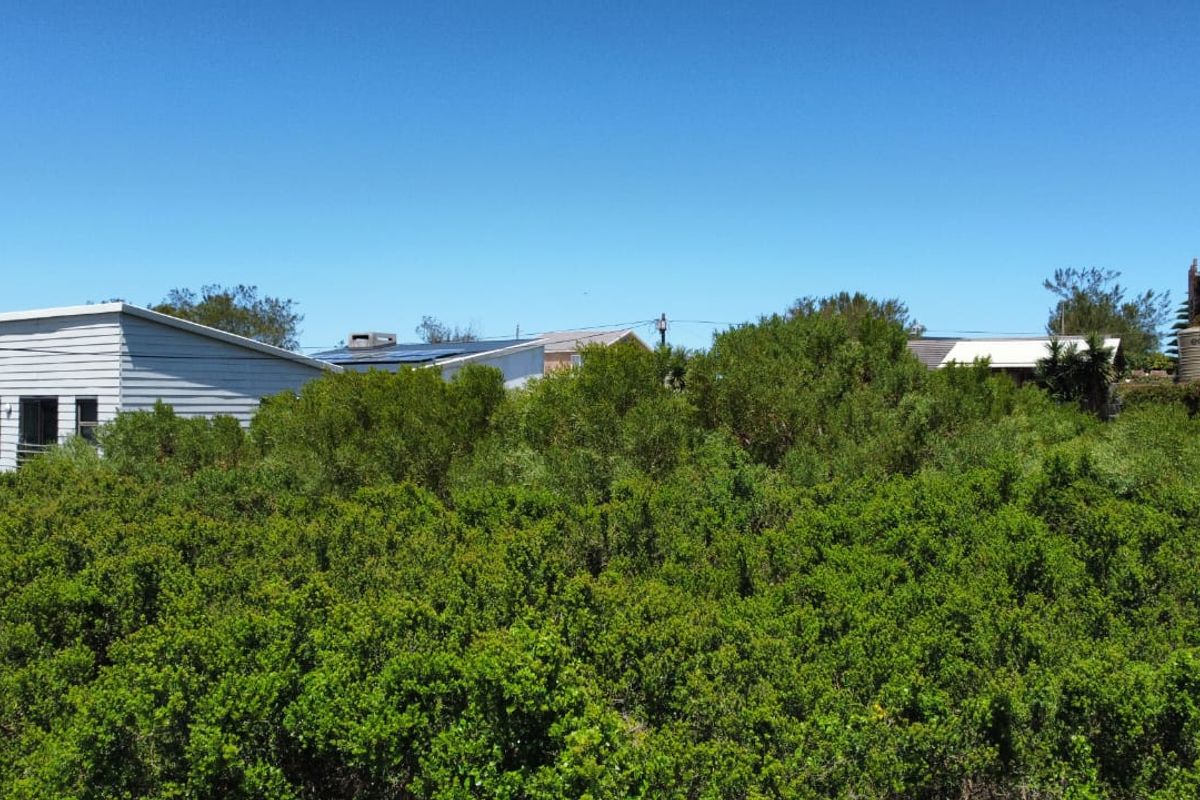 A view of a residential plot featuring dense natural vegetation and surrounding neighboring properties.
