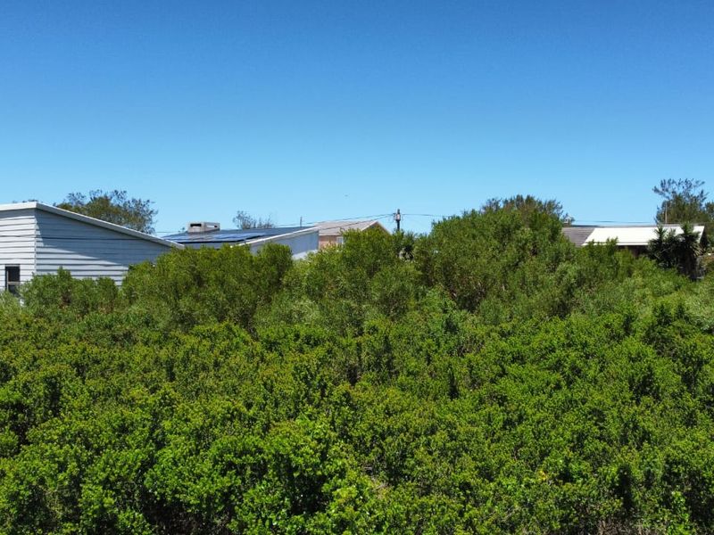 A view of a residential plot featuring dense natural vegetation and surrounding neighboring properties.