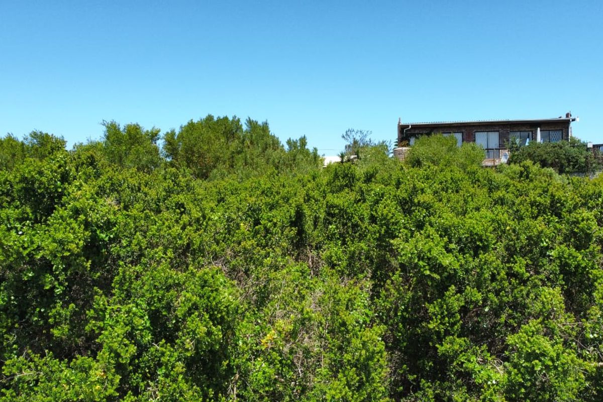 A view of a vacant residential plot densely covered with mature indigenous vegetation, with a neighboring property visible in the background.