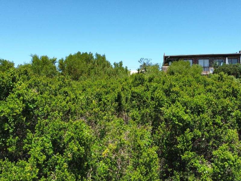A view of a vacant residential plot densely covered with mature indigenous vegetation, with a neighboring property visible in the background.