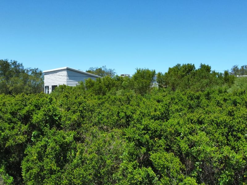 A view of a residential vacant land plot featuring dense natural vegetation and partial visibility of a neighboring structure.
