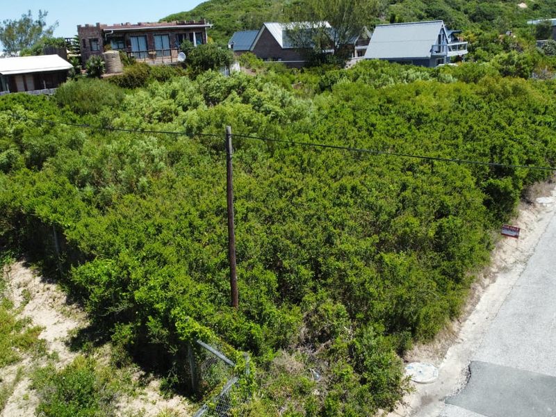 An elevated view of a vacant residential plot covered in dense indigenous vegetation, situated in a coastal neighborhood with established surrounding homes.