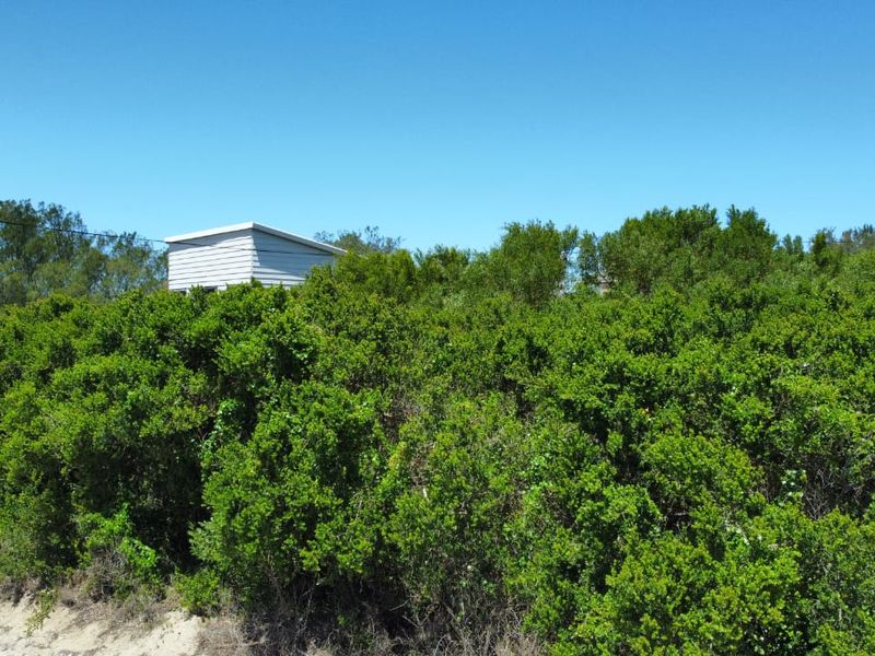 A view of a vacant residential plot densely covered with mature native vegetation and shrubs, featuring a small structure visible in the background.