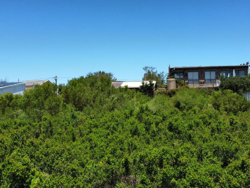 An elevated view of a vacant residential plot featuring dense indigenous vegetation and surrounding neighborhood properties.