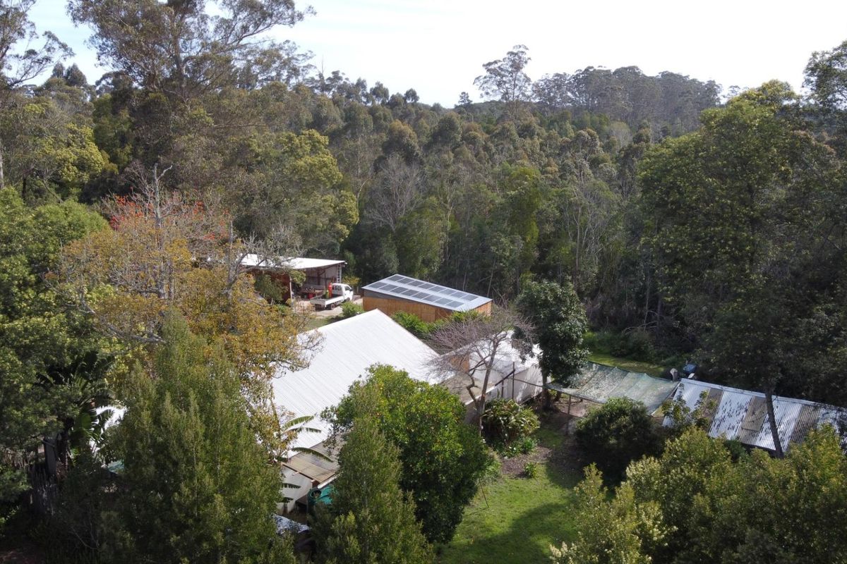 Income producing property in Harkerville - Photo 4