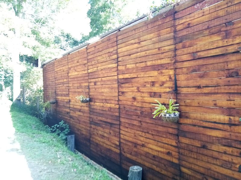 Harkerville Forest Property - Photo 10