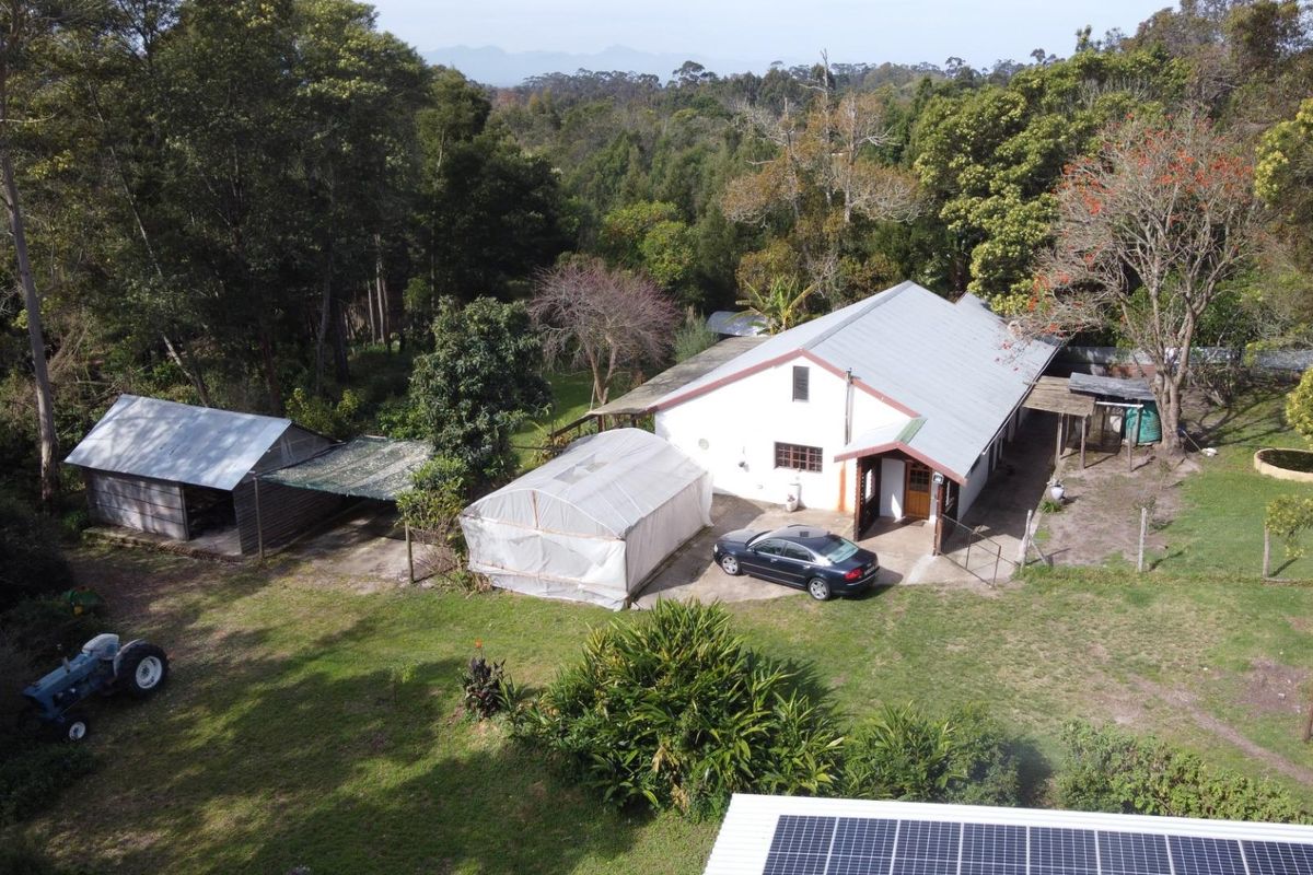 Harkerville Forest Property - Photo 2