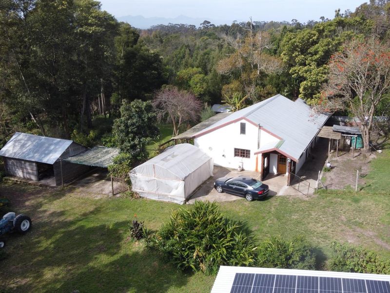 Harkerville Forest Property - Photo 2