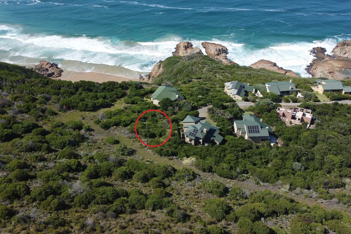 Exclusive Clifftop Haven in Southern Right Estate, Brenton-on-Sea - Photo 3