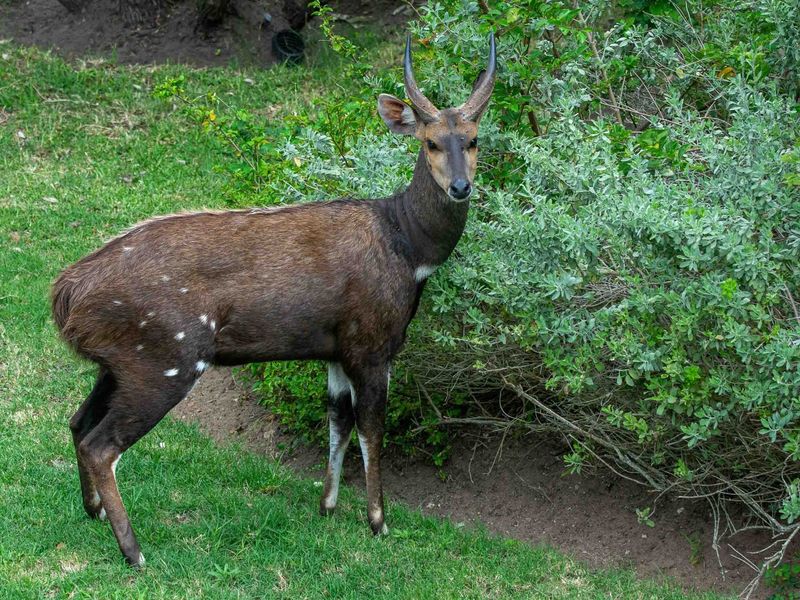 Exclusive Clifftop Haven in Southern Right Estate, Brenton-on-Sea - Photo 6