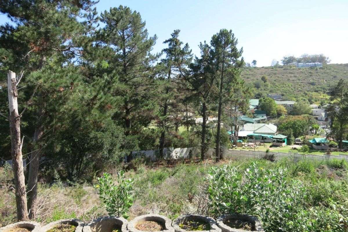 A scenic elevated view overlooking a residential area with mature trees and natural vegetation.