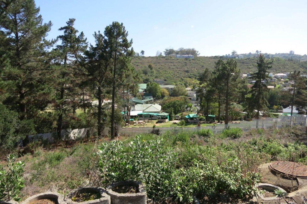 Elevated view overlooking a residential neighborhood with mature trees, natural vegetation, and a white picket fence boundary.
