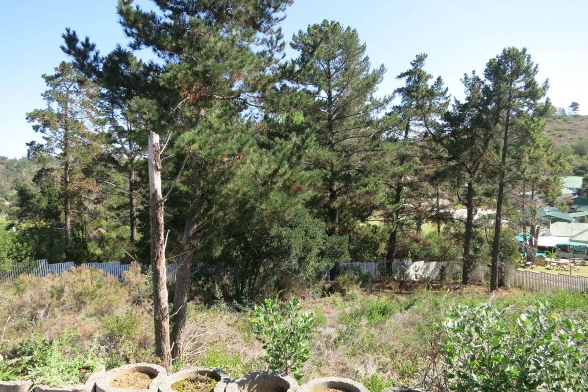A view of a sloped residential plot featuring established pine trees, natural vegetation, and a concrete retaining wall structure.