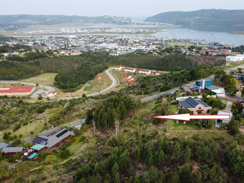 An aerial view of a vacant residential plot situated on a hillside, featuring natural vegetation and proximity to established neighborhood infrastructure and coastal views.