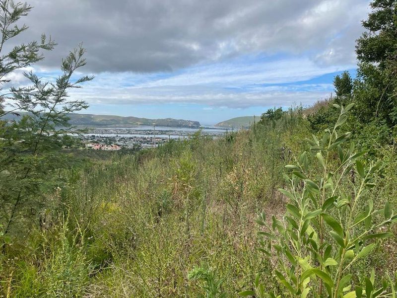 A scenic elevated view overlooking a coastal town, lagoon, and distant hills from a sloped, undeveloped residential plot.
