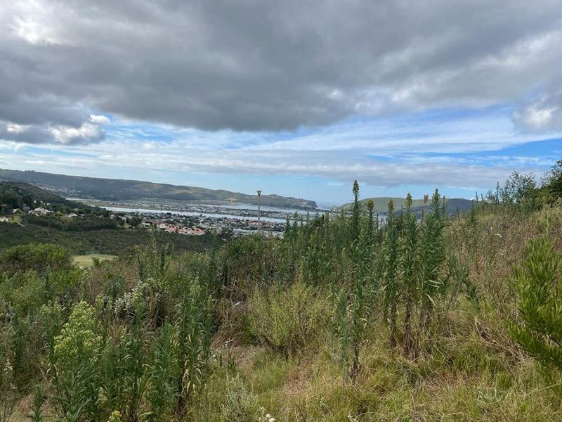 A scenic elevated view overlooking the coastal landscape, estuary, and surrounding residential area.