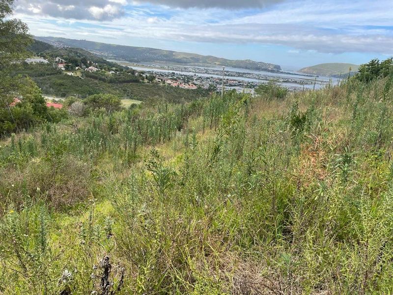 A sloped vacant residential plot offering expansive elevated views over the surrounding landscape and estuary.