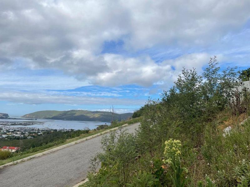 A scenic view overlooking a coastal landscape and estuary from an elevated position along a paved road.