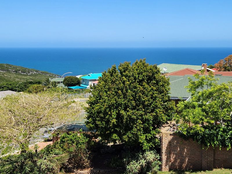 Elevated coastal view overlooking the surrounding neighborhood, lush greenery, and the expansive ocean horizon.