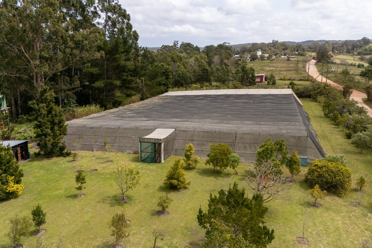 Immaculate Small Holding in Harkerville - Photo 4