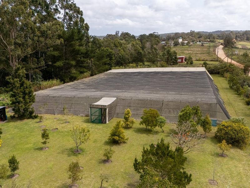 Immaculate Small Holding in Harkerville - Photo 4