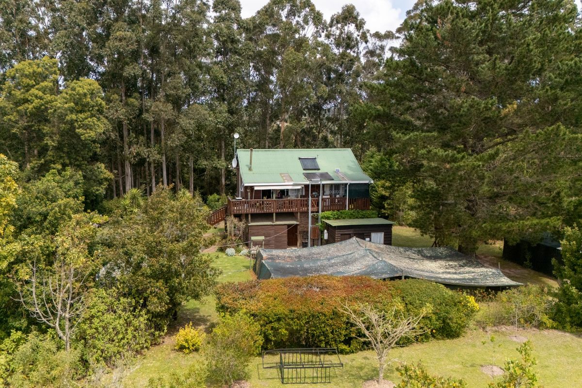 Immaculate Small Holding in Harkerville - Photo 2