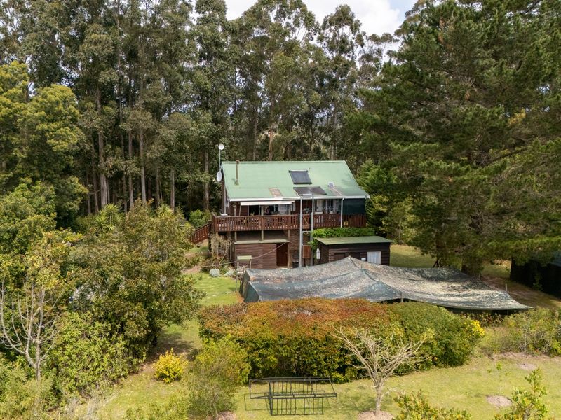 Immaculate Small Holding in Harkerville - Photo 2