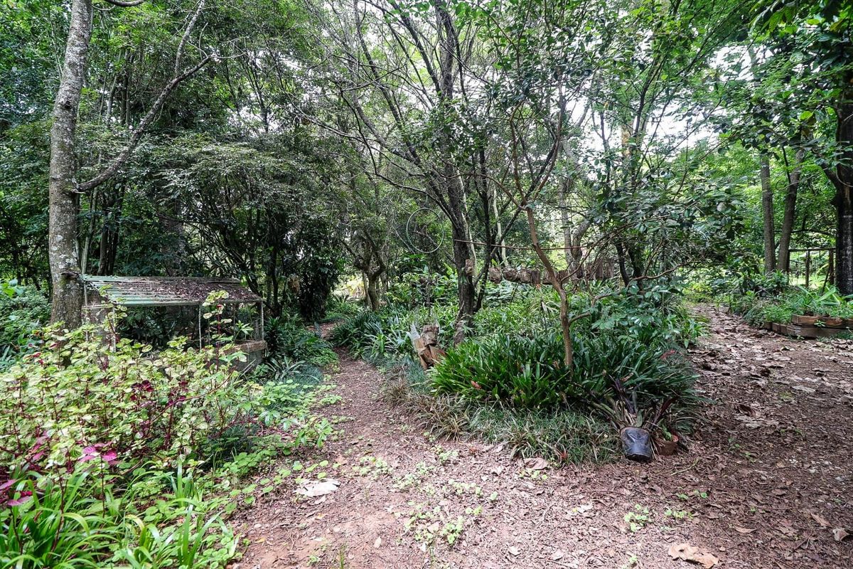 Wow Lush Gardens, Old Houses, Centrally Located, Mac Trees, Income Earning  - Photo 2