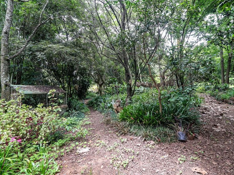 Wow Lush Gardens, Old Houses, Centrally Located, Mac Trees, Income Earning  - Photo 2